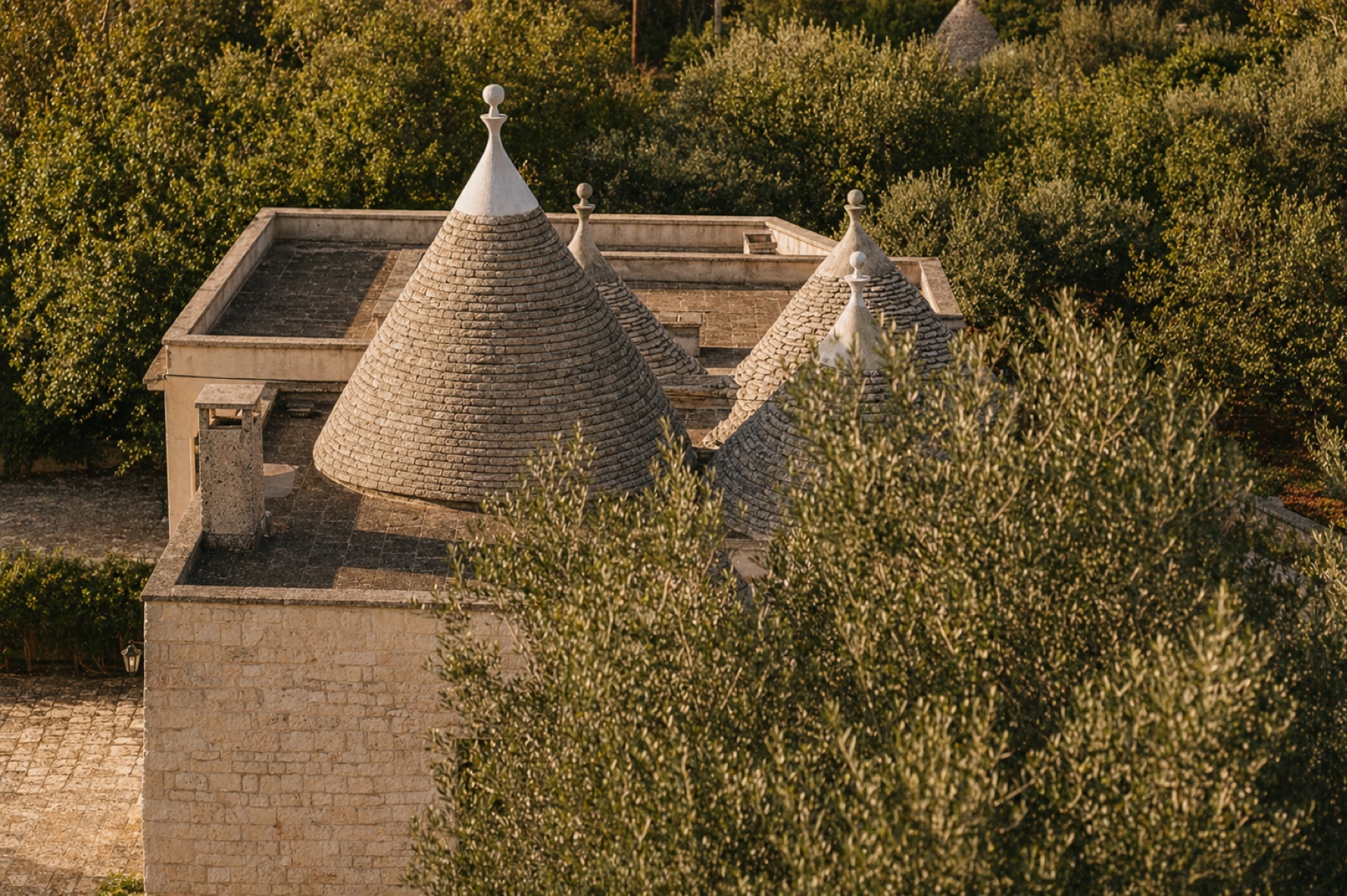Stone trullo surrounded by olive trees