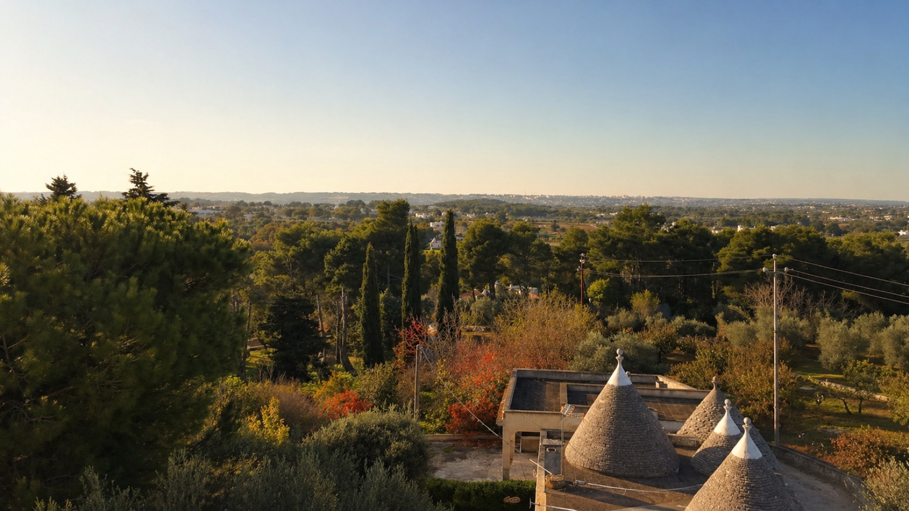View over Valle d'Itria with trulli in the foreground